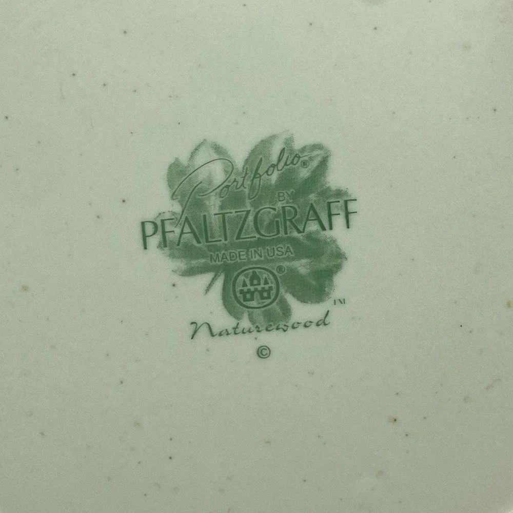 Portfolio‎ Pfaltzgraff Naturewood Dinner Plates 11